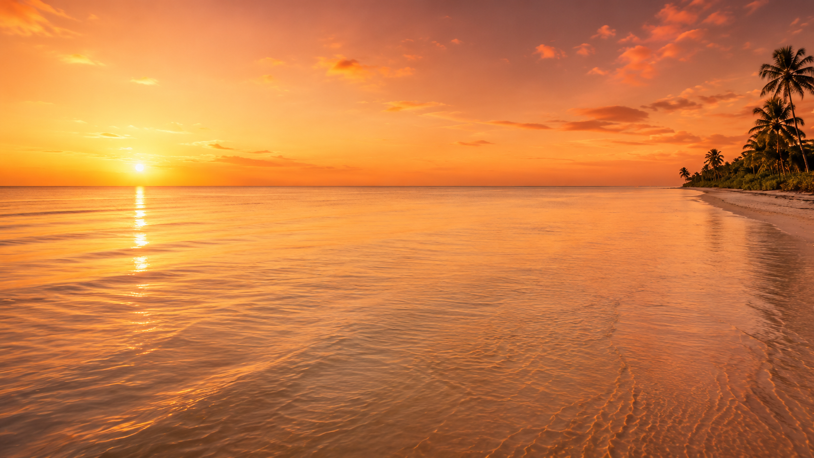 Atardecer en la playa de Sisal, Yucatán, distribuidores mayoristas de Cerveza Flamingo